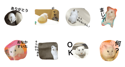 omochi's stamp omochi's stamp