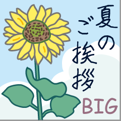 夏のご挨拶【BIG】