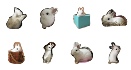 many many rabbi rabbi