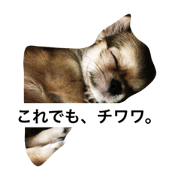 DENROKU everyday. DENROKU everyday.