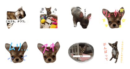 DENROKU everyday. DENROKU everyday.