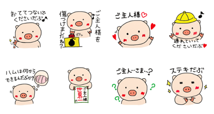 A pig addicted to his owner A pig addicted to his owner