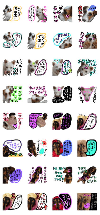 our doggys our doggys