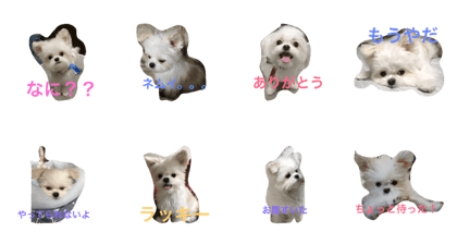 kuchanstamp kuchanstamp