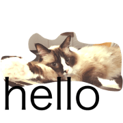 Clear sometimes rice cake Clear sometimes rice cake