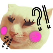 My Family: Sha-kun (2) My Family: Sha-kun (2)