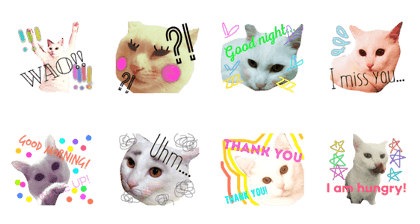 My Family: Sha-kun (2) My Family: Sha-kun (2)