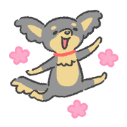 Funny Maru Funny Maru