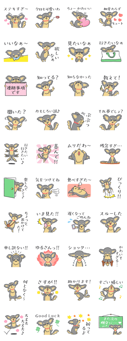 Funny Maru Funny Maru