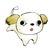 CoroCoro Shih Tzu dog CoroCoro Shih Tzu dog