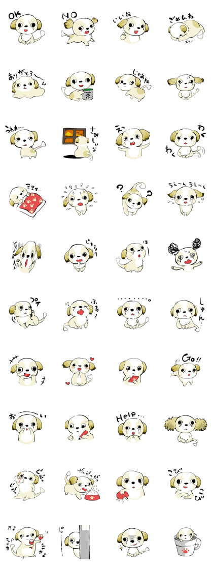 CoroCoro Shih Tzu dog CoroCoro Shih Tzu dog