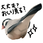 bun-bun style bun-bun style