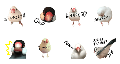 bun-bun style bun-bun style