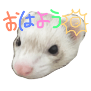 Jiji Kura2 Jiji Kura2