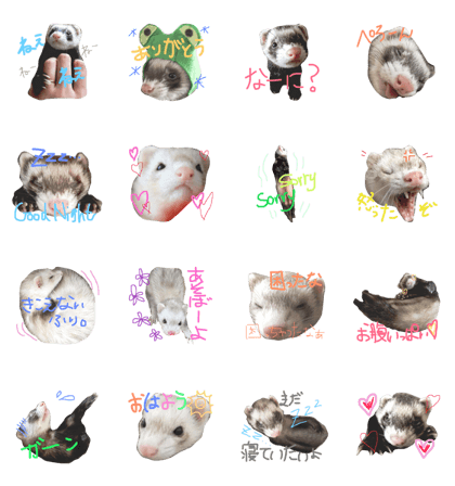 Jiji Kura2 Jiji Kura2