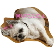 HIBI MOESAN HIBI MOESAN