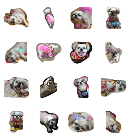 HIBI MOESAN HIBI MOESAN