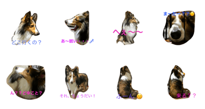 Dog's stanp Dog's stanp