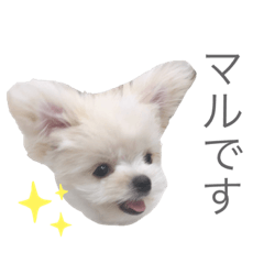 Nozomi_20210527075953