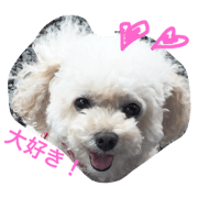 momo-chan toypu momo-chan toypu