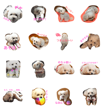 momo-chan toypu momo-chan toypu