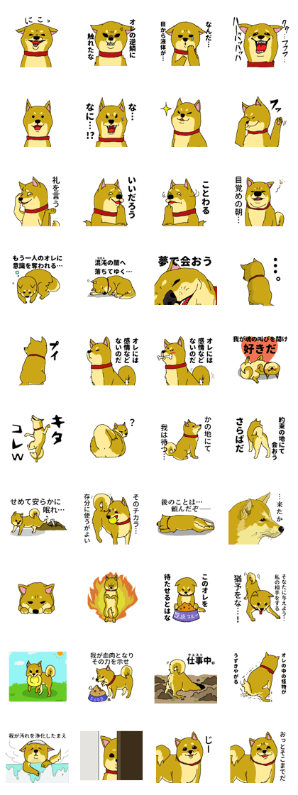 Shiba Inu's daily life Shiba Inu's daily life