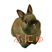 ohanichijou2 ohanichijou2