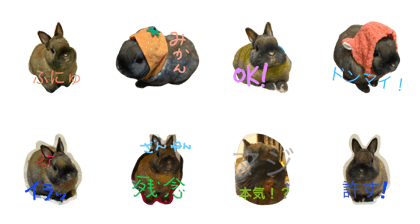 ohanichijou2 ohanichijou2