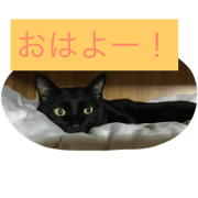 Greeting from Kuu Greeting from Kuu