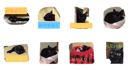 Greeting from Kuu Greeting from Kuu