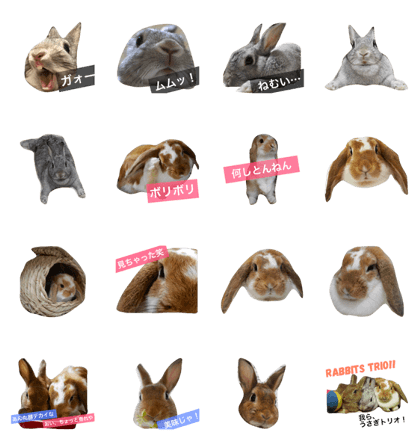 Rabbits Trio Rabbits Trio