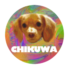 Chikuwa is nerimono