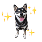 Shibainu-Azuki Stickers
