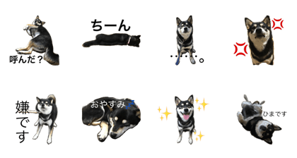 Shibainu-Azuki Stickers