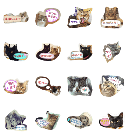 cats-go-go-go cats-go-go-go