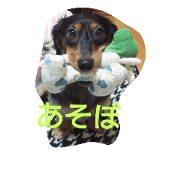 mt.rui kun mt.rui kun