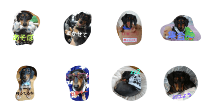 mt.rui kun mt.rui kun