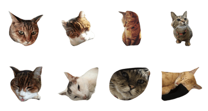 tsujiscats tsujiscats