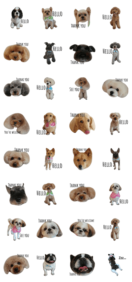 "Hello" and "Thank you" dogs