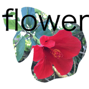 world word world word