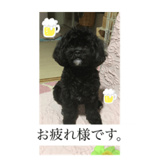 miki_20210527154540