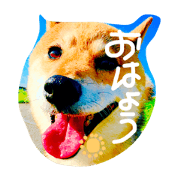 ponta aisatsu ponta aisatsu