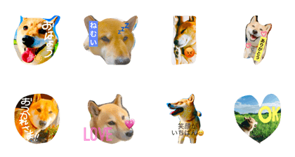 ponta aisatsu ponta aisatsu