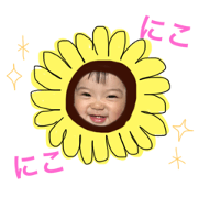 nikochan&palchan nikochan&palchan