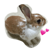 2 of rabbit. 2 of rabbit.