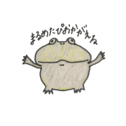 Lepidobatrachus laevis Lepidobatrachus laevis