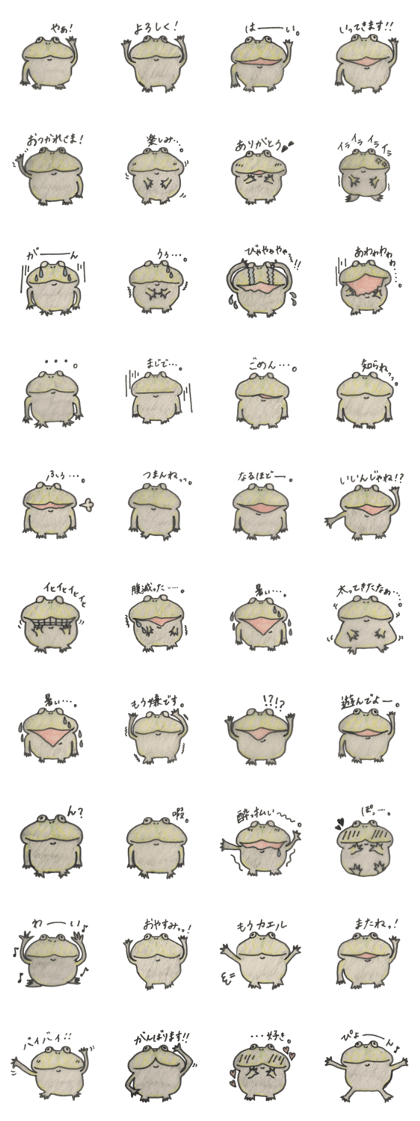 Lepidobatrachus laevis Lepidobatrachus laevis