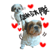 puffy and rara puffy and rara