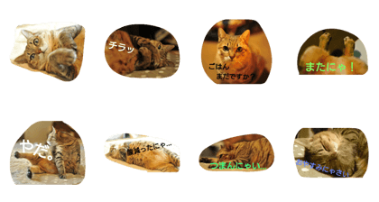 I'm mineko I'm mineko