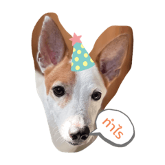 Grace_20210527133240